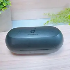 Soundcore Liberty Neo2 充電ケースのみ