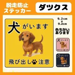 Item thumbnail for item 66d5ecd3-31a3-4b5c-856a-47fca1ada6d2