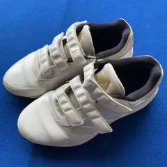 23.5センチ　アディダス　ホワイト トレーニングシューズ /中古