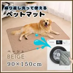 Item thumbnail for item c023134f-a11e-49ca-9175-43f2f9a9616a