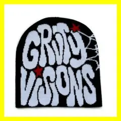 ビーニー y2k スケボー 帽子 キャップ ニット帽 グランジ 平成　スパイダー