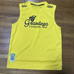 Item thumbnail for item 78a178cd-3d6d-472d-8433-e84eb8982fea