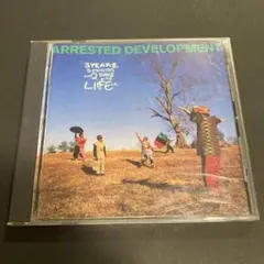 アレステッド デベロップメント 3years, 5months and ...