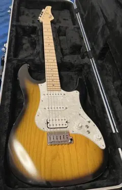 FUJIGEN EOS AL. HSH. エレキギター ハードケース付 FUJIGEN EOS AL. HSH. エレキギター ハードケース付 2025年最新