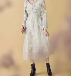 Mercury duo ワンピース