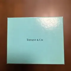 Tiffany & Co. ギフトボックスとサテンポーチセット　箱のみ