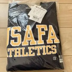 Item thumbnail for item ca82c38d-ebaa-4a0f-8ad1-fa0af5004d0f