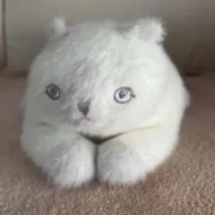 ジェラピケ ティッシュケース