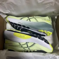 アシックス GEL-KAYANO 31 24.5cm