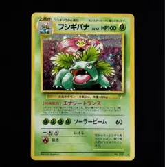 旧裏フシギバナ_「とりかえっこプリーズ」 キャンペーンカードPROMO 第