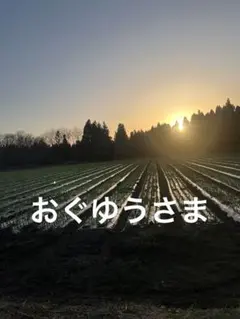 おぐゆうさまのサムネイル