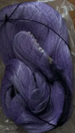 Item thumbnail for item 8c2cff55-50d5-4555-99d9-2ed754fd2295