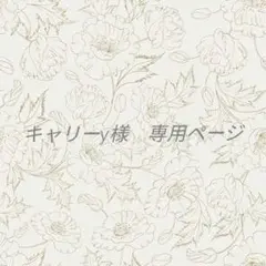 キャリーy様　専用ページ