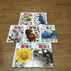 小学館の図鑑NEO 7冊セット　※DVDなし