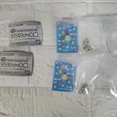 豆ガシャ本 サンリオキャラクターズ プロフィール帳 ウサハナ×2