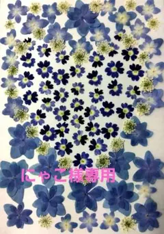 にゃこ様専用　 リクエスト 3点 まとめ商品