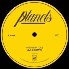 レゲエ・カバー 再発 AJ Brown Human Nature 送料無料のサムネイル