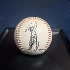 2026年最新】立浪 サインの人気アイテム - メルカリ