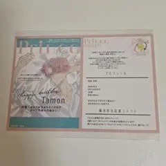 多聞くん今どっち⁉︎ TSUTAYA特典 ポストカード