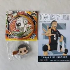 ハイキュー　前髪クリップ　ポストカード　ファンパーク　缶バッジ　田中 龍之介