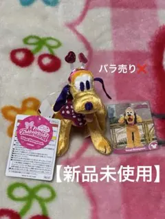 ぬいぐるみバッジ　コレクションカード プルート　ミニパル　パルパルーザ