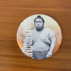 大相撲　志摩ノ海 缶バッジのサムネイル