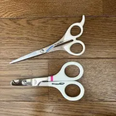 Item thumbnail for item 7317dadf-00b7-4c95-8430-d3dc230af4ce