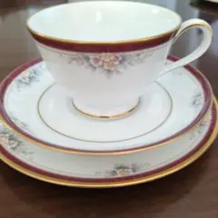 トリオNoritake Villa Haven カップ・ソーサー　プレート