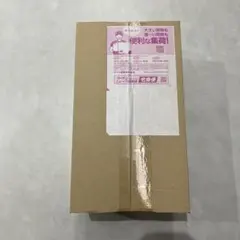 【新品未開封】ポケモンセンター トウホク スペシャルBOX