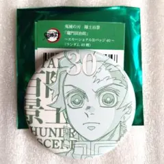 鬼滅の刃 エモーショナル缶バッジ 隊士百景 まとめ売り 鬼滅の刃 隊士百景 エモーショナル缶バッジ 竈門炭治郎 - メルカリ