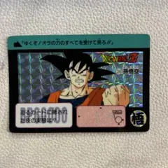 コ*】様 【1990年】希少‼︎ドラゴンボールZカードダス、211孫悟空