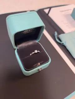 Tiffany & Co. ダイヤモンドリング 0.27カラット 2026年最新】ティファニー Tiffany 0.27ctの人気アイテム - メルカリ
