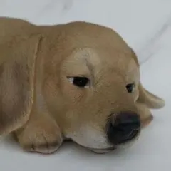 Item thumbnail for item babd0a9a-b3a5-4c54-a98b-0b818594eb61