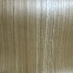 Item thumbnail for item 2ab18d56-3ffd-4e15-8dda-e952af086a07