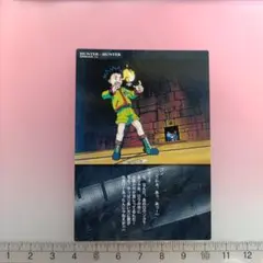 2025年最新】HUNTER×HUNTERカードダスマスターズ初版ゴンカードの人気