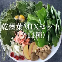 【ジュークFAMILYのおやつ】乾燥葉MIXセット♪小動物 うさぎ チンチラのサムネイル