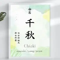 【即日〜翌日発送】 命名書Ⅲ ④ オーダー 選べる 8種類