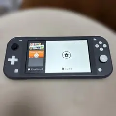 Nintendo Switch Lite グレー 本体　ジャンク