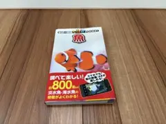 Item thumbnail for item 197b9773-efa5-43db-b706-65541f71d614