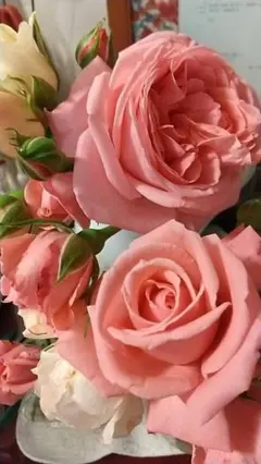 rin 様御専用 アンティーク 大島紬のようなグレーの小紋