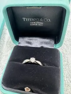 Item thumbnail for item c3a9801d-884b-4e2e-b6b1-e6e78284c4f0