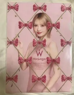 TWICE　モモ　ウォンジョンヨ クリアファイル