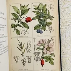 lucie様 リクエスト 2点 まとめ商品