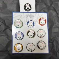 Stray Kids スキズ　展覧会　ピンバッチ　缶バッチセット　リービット