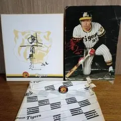 Item thumbnail for item 7dd56c5b-e459-48df-af3b-71dc4d7f2c58