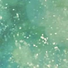 専用