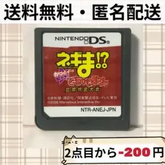 ソフトのみ ネギま!?超 麻帆良大戦 かっとイ〜ン☆ DS 送料無料 匿名配送