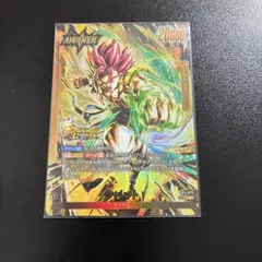 シャレット　ジブレット　リーダーパラレル