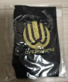 2026年最新】グローブ UVERWORLDの人気アイテム - メルカリ