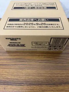 ポケモンカードゲーム インフェルノX 1カートン完全未開封